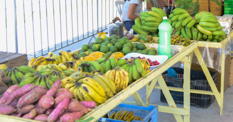Feira - Frutas - Batata doce - Banana - laranja