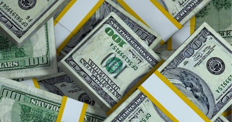 dinheiro dólares dolar