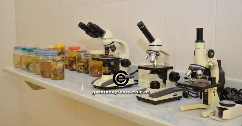 laboratório pp