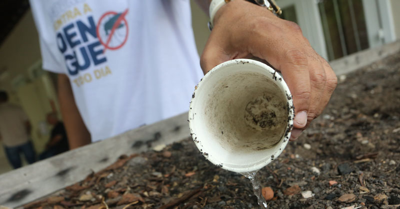brigada contra a dengue