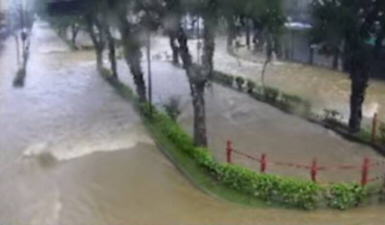 reprodução câmera de Petrópolis -- Rua do Imperador
