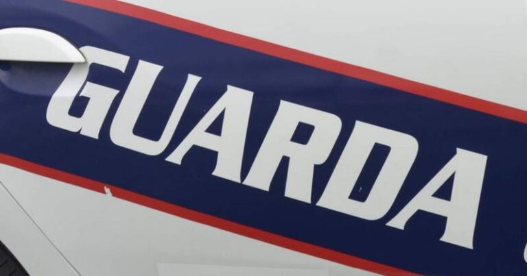 guarda 2024