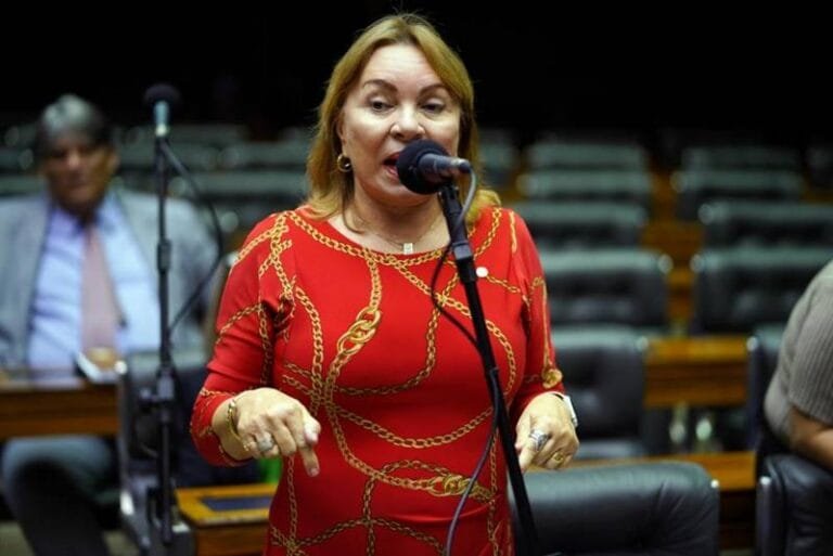 Deputada Maria Gorete Pereira